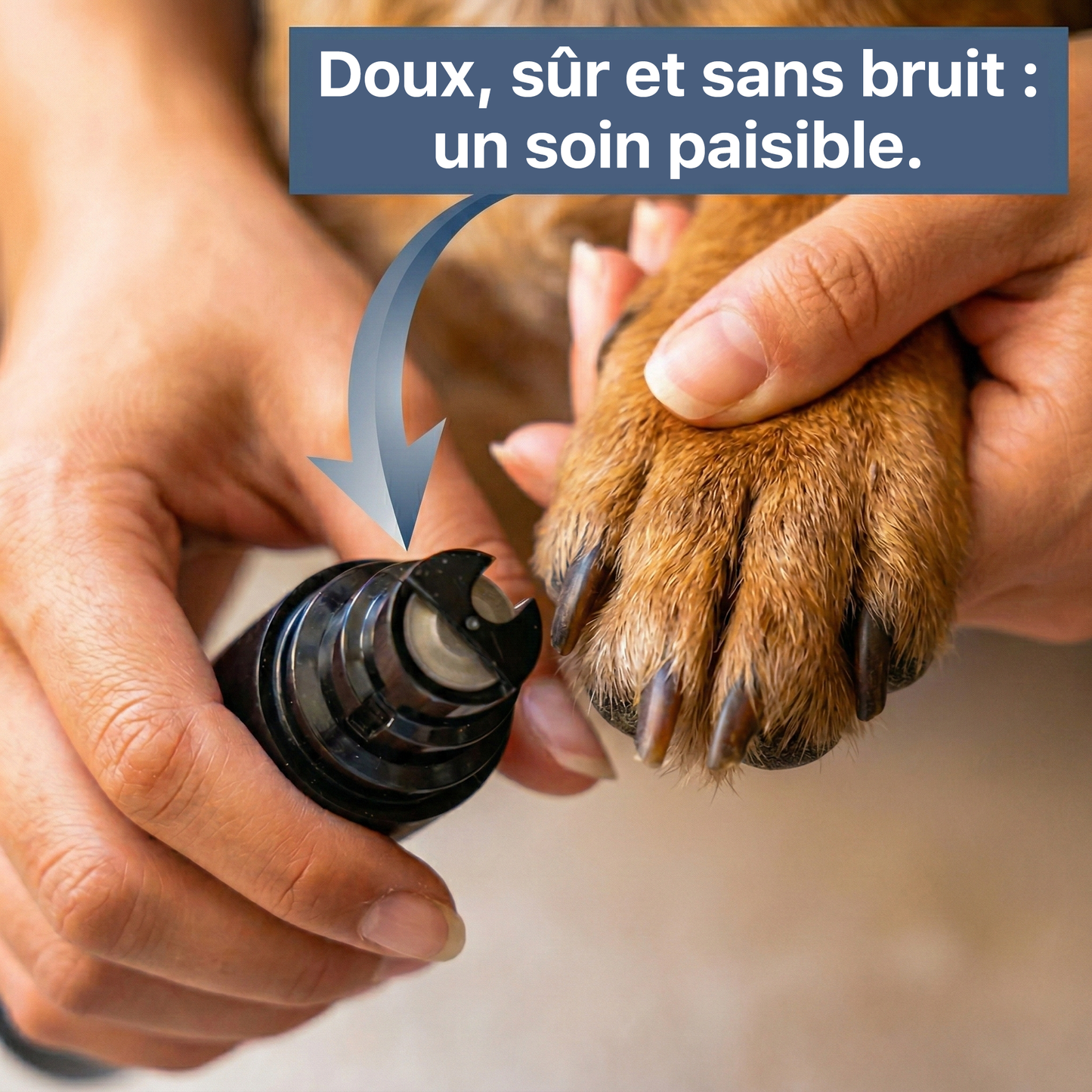 La lime à griffes ultra-silencieuse