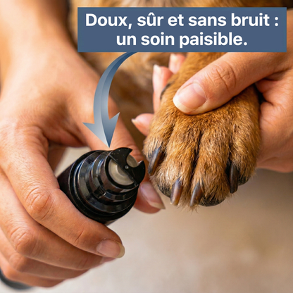 La lime à griffes ultra-silencieuse